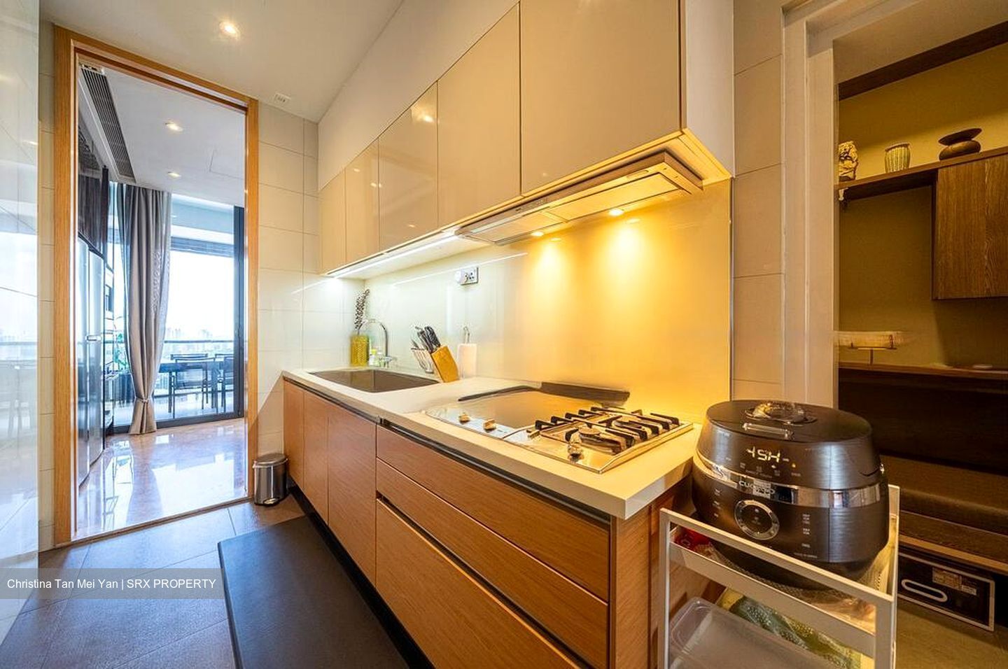 Nouvel 18 (D10), Condominium #452426491